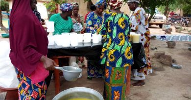 production du beurre de karité