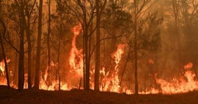 INCENDIES-AUSTRALIE-france-info