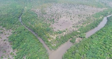 Vue aérienne de la forêt de Bougouni. Crédit Photo: Mali-Folkecenter Nyetaa