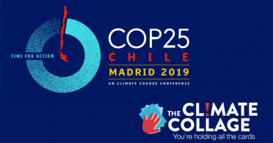 cop25-x-Fresque