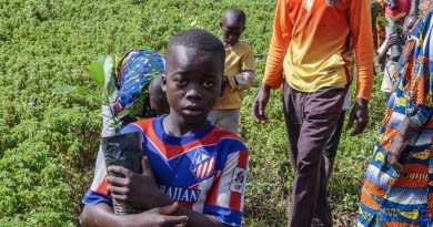 un enfant avec un plant d'arbre à Finkolo Ganadougou, Sikasso